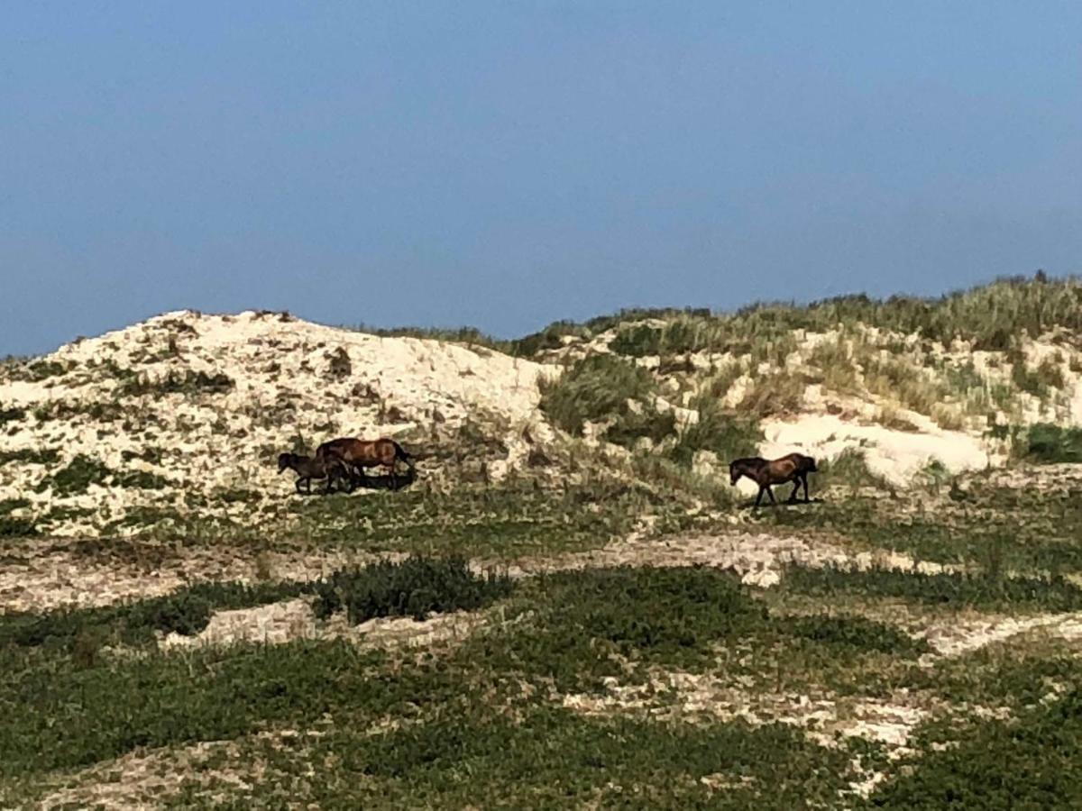 Sommerhaus Glucklich Am Meer 2 Mit Wellnesszugang Egmond aan Zee Exteriör bild